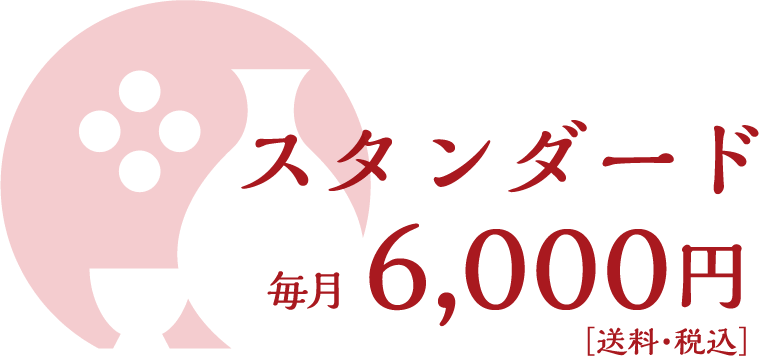スタンダード 毎月6,000円